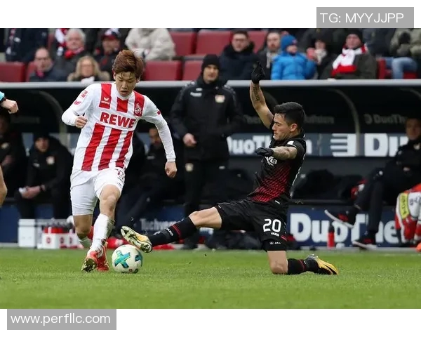 斯图加特主场胜科隆勇夺保级关键胜利