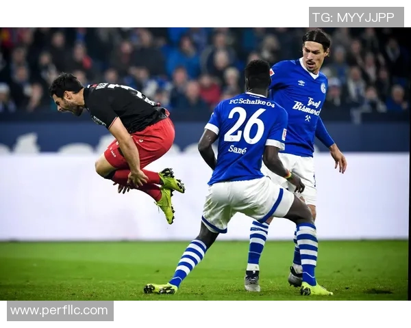 沙尔克04客场硬战战平勒沃库森稳居联赛中游